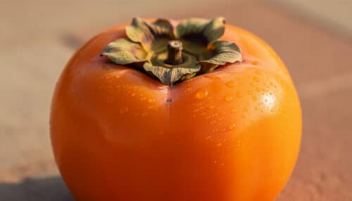 scopri i 5 benefici sorprendenti del cachi e perché dovresti includerlo più spesso nella tua dieta per migliorare la tua salute e il tuo benessere.